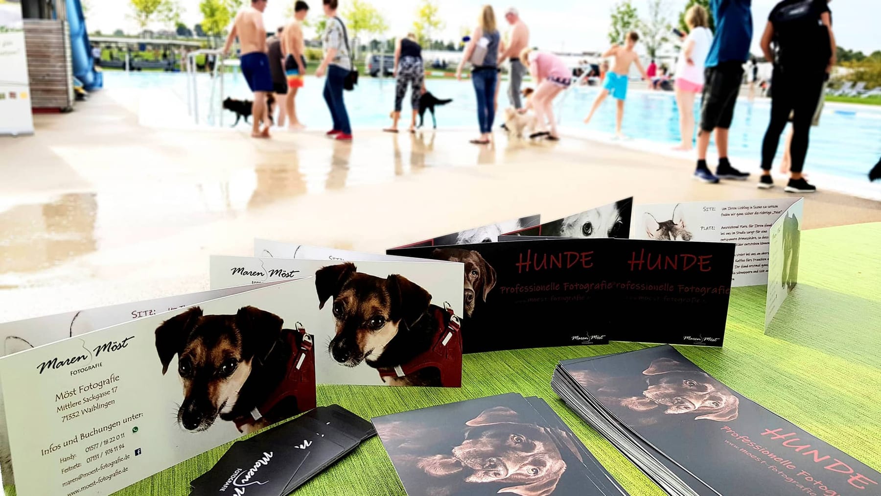 Hundebadetag im F3 in Fellbach